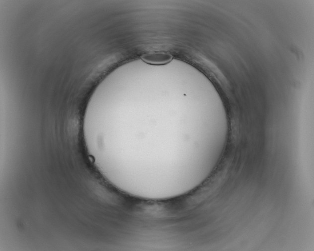 X0000113360113200910131308