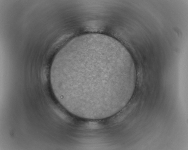 X0000113360114200910131308