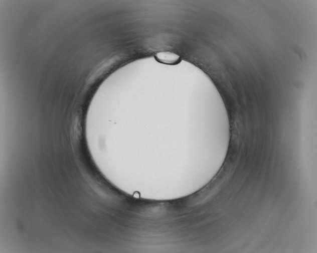 X0000113360116200910131308