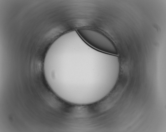 X0000113360117200910131308