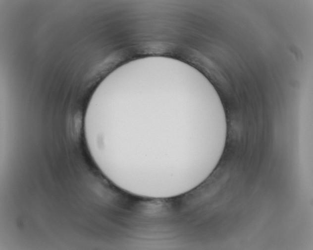 X0000113360118200910131308