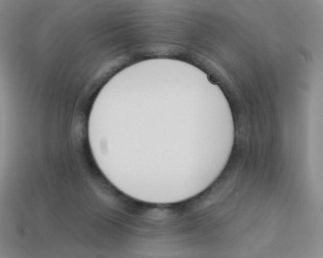 X0000113360119200910131308