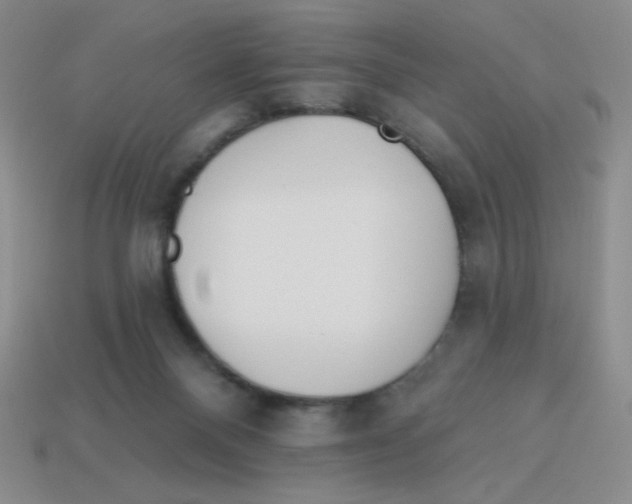 X0000113360120200910131308