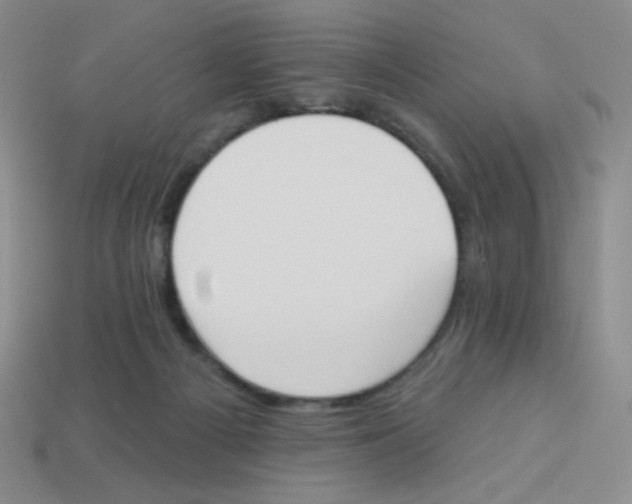 X0000113360121200910131308
