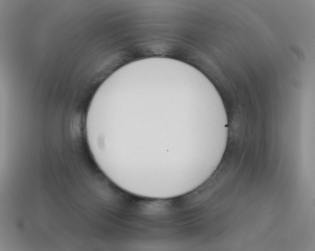 X0000113360122200910131308