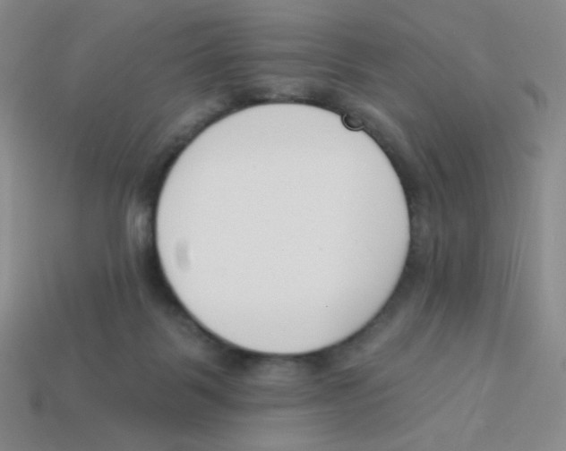 X0000113360123200910131308