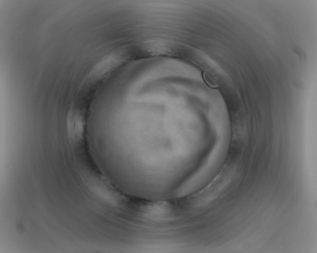 X0000113360124200910131308