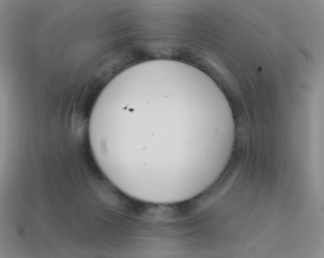 X0000113360125200910131308