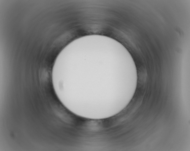 X0000113360126200910131308