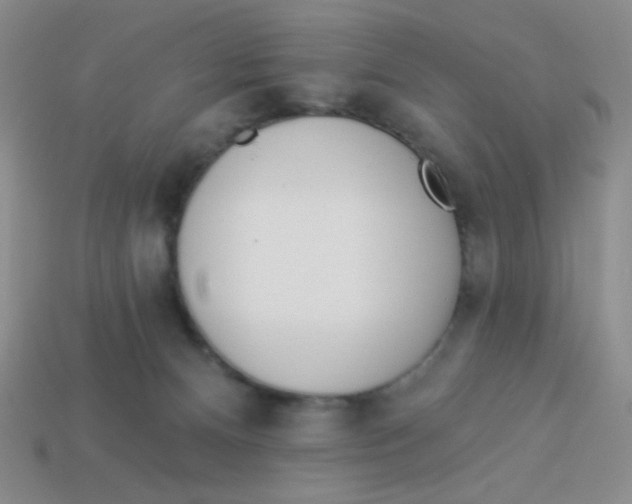 X0000113360128200910131308