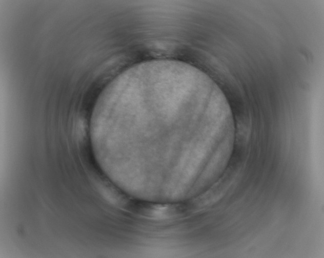 X0000113360130200910131308