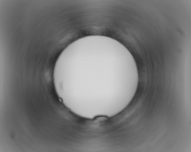 X0000113360131200910131308
