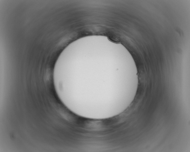 X0000113360132200910131308