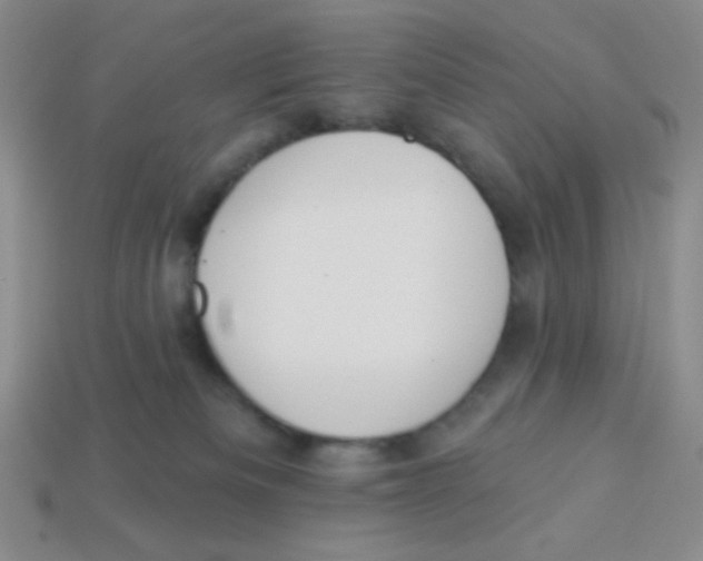 X0000113360133200910131308