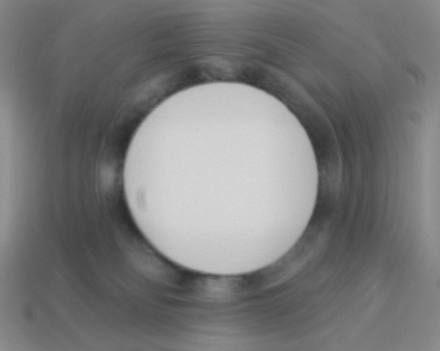 X0000113360134200910131308