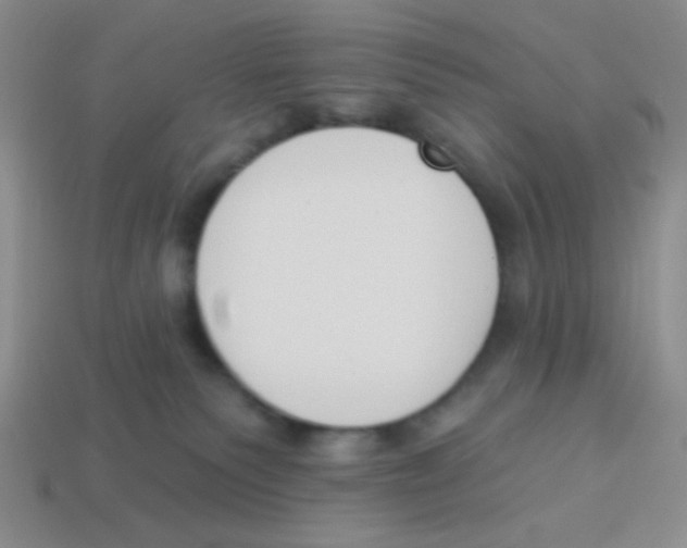 X0000113360135200910131308