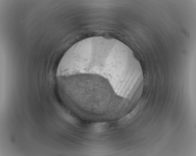 X0000113360136200910131308