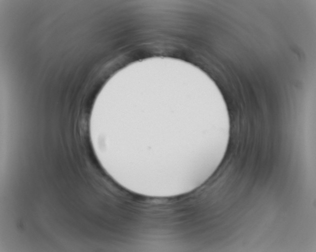 X0000113360137200910131308