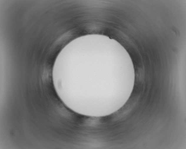 X0000113360138200910131308