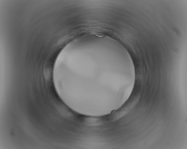 X0000113360139200910131308