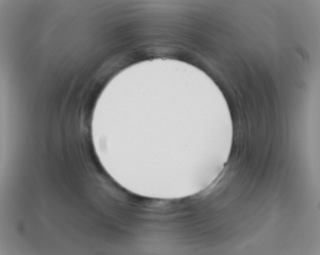 X0000113360140200910131308