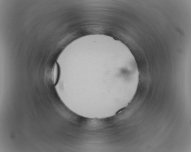 X0000113360141200910131308