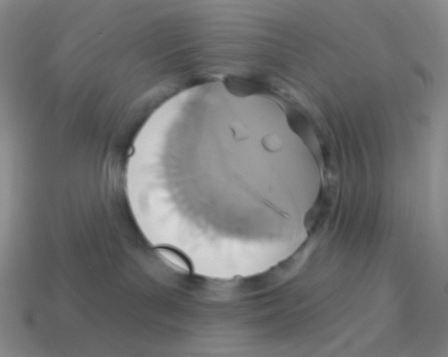 X0000113360143200910131308