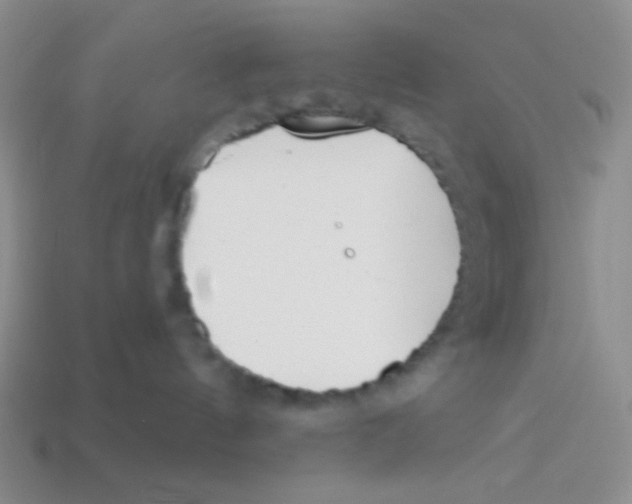 X0000113360144200910131308