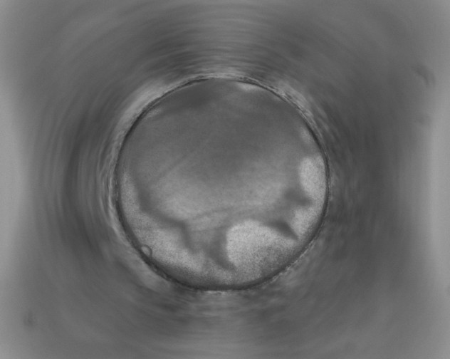 X0000113360145200910131307