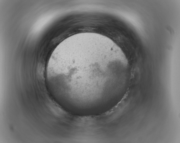 X0000113360146200910131307