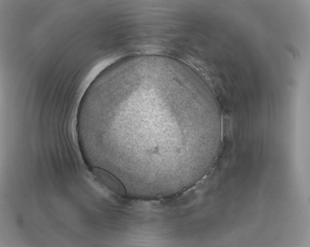X0000113360147200910131307