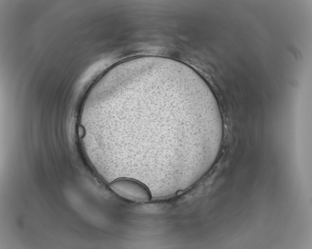 X0000113360149200910131307