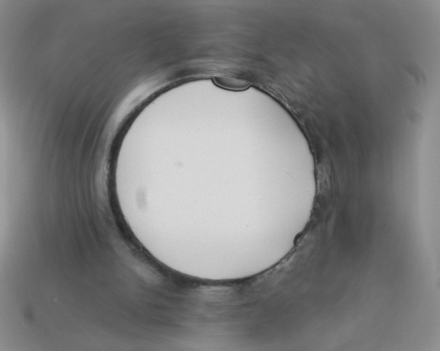X0000113360150200910131307