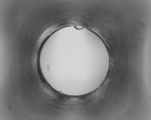 X0000113360151200910131307