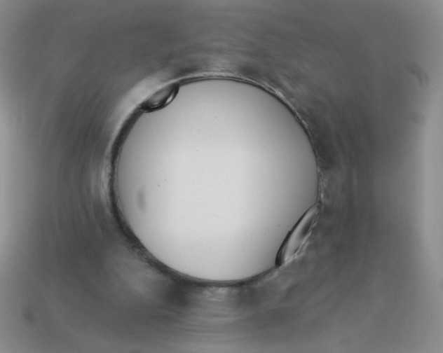 X0000113360152200910131307