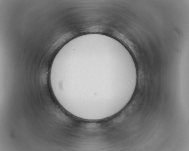 X0000113360153200910131307