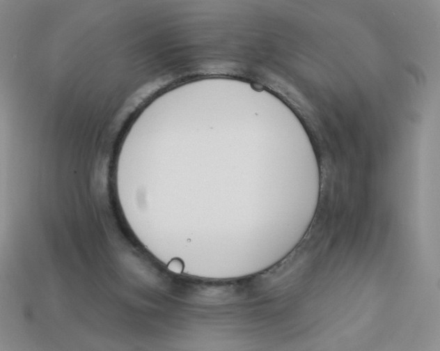 X0000113360155200910131307