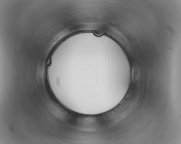 X0000113360156200910131307