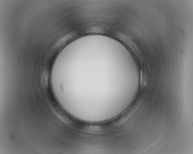 X0000113360157200910131307