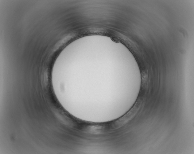 X0000113360158200910131307