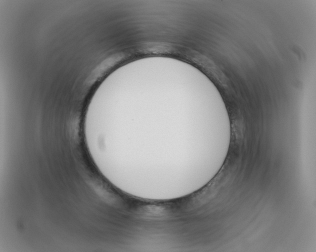 X0000113360159200910131307