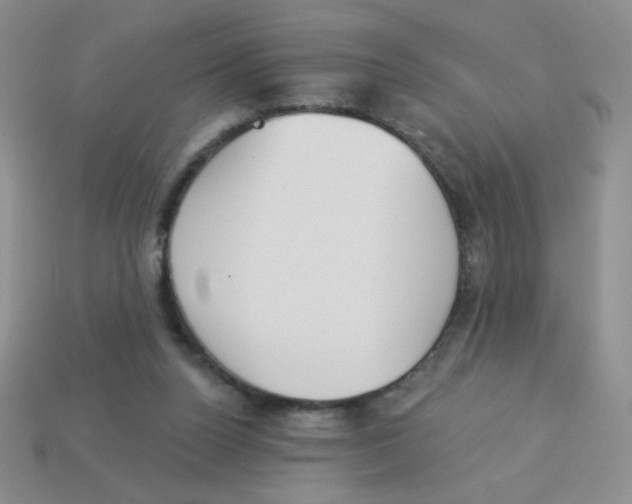 X0000113360160200910131307