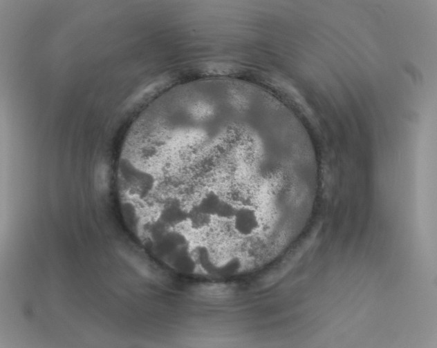 X0000113360161200910131307