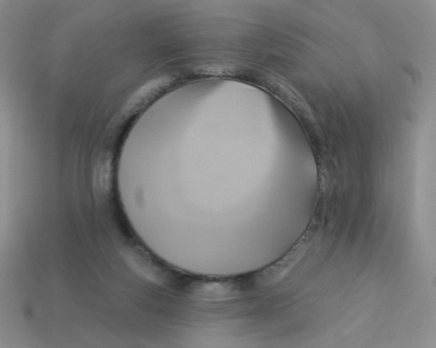 X0000113360163200910131307