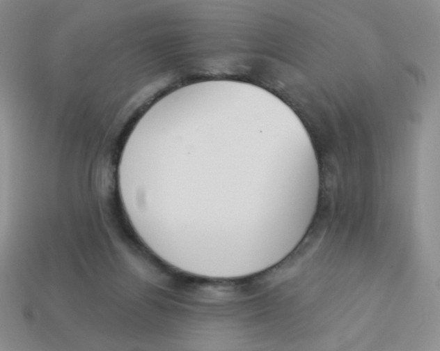 X0000113360164200910131307