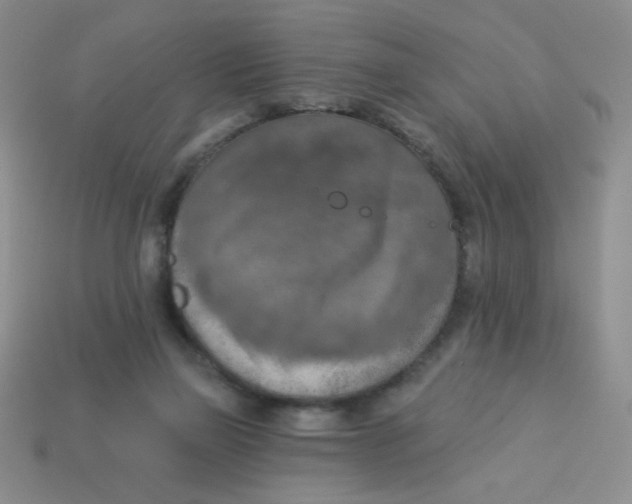 X0000113360165200910131307