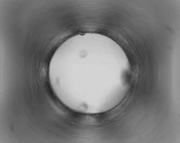 X0000113360166200910131307