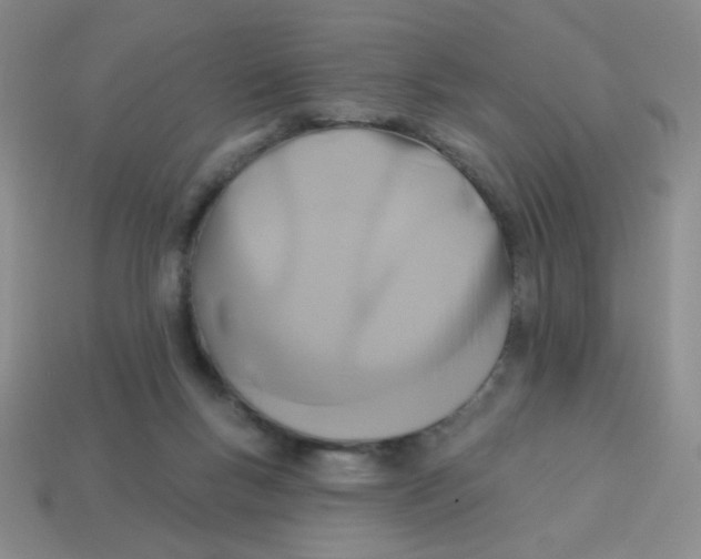 X0000113360167200910131307