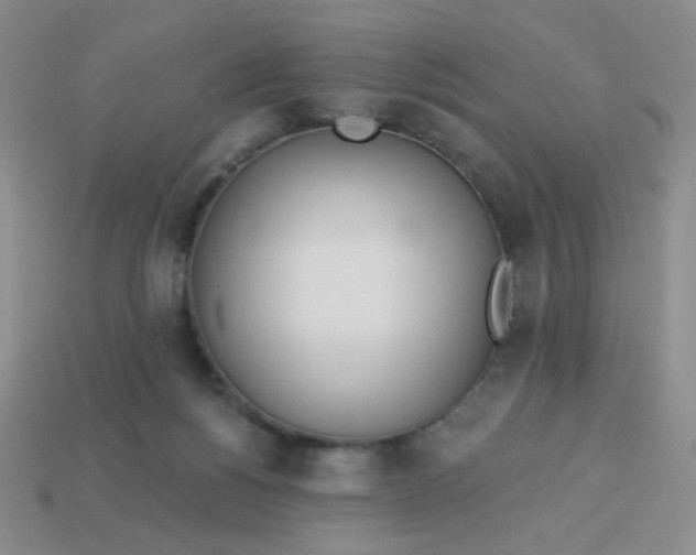 X0000113360168200910131307