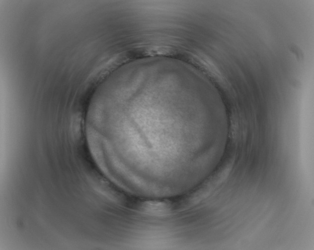 X0000113360169200910131307